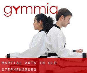 Martial Arts in Old Stephensburg