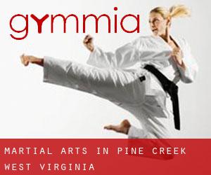 Martial Arts in Pine Creek (West Virginia)