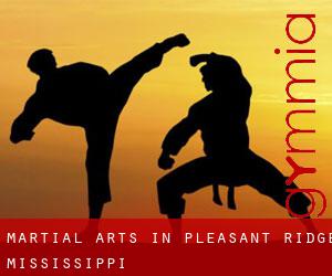 Martial Arts in Pleasant Ridge (Mississippi)