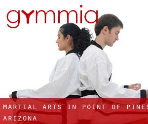 Martial Arts in Point of Pines (Arizona)
