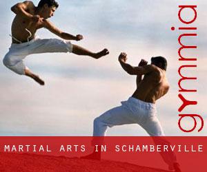 Martial Arts in Schamberville