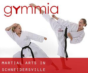 Martial Arts in Schneidersville