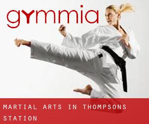 Martial Arts in Thompson's Station