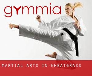 Martial Arts in Wheatgrass