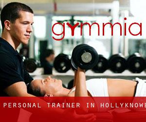 Personal Trainer in Hollyknowe