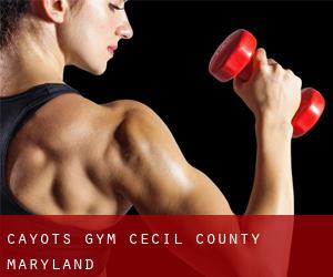 Cayots gym (Cecil County, Maryland)