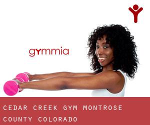 Cedar Creek gym (Montrose County, Colorado)