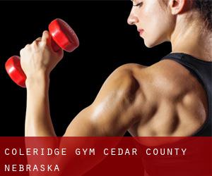Coleridge gym (Cedar County, Nebraska)