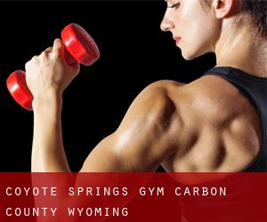 Coyote Springs gym (Carbon County, Wyoming)
