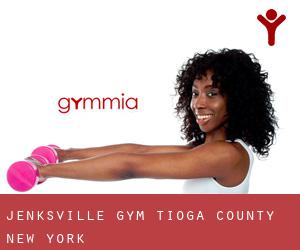 Jenksville gym (Tioga County, New York)