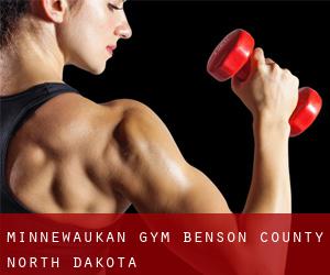 Minnewaukan gym (Benson County, North Dakota)