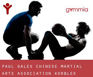 Paul Gales Chinese Martial Arts Association (Korblex)