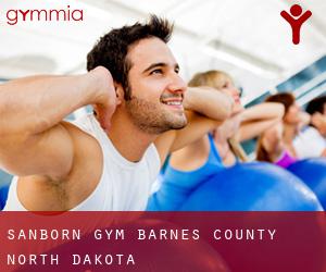 Sanborn gym (Barnes County, North Dakota)
