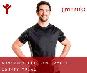 Ammannsville gym (Fayette County, Texas)