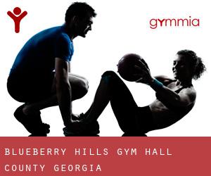 Blueberry Hills gym (Hall County, Georgia)