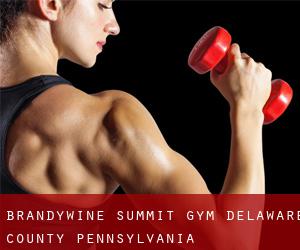 Brandywine Summit gym (Delaware County, Pennsylvania)