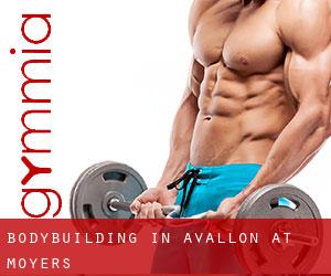 BodyBuilding in Avallon at Moyers