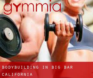 BodyBuilding in Big Bar (California)