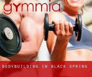 BodyBuilding in Black Spring
