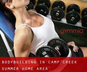 BodyBuilding in Camp Creek Summer Home Area