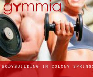 BodyBuilding in Colony Springs BodyBuilding in Colony Springs