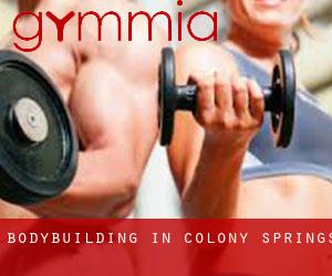 BodyBuilding in Colony Springs