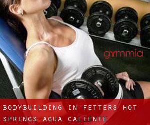 BodyBuilding in Fetters Hot Springs-Agua Caliente