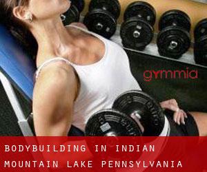 BodyBuilding in Indian Mountain Lake (Pennsylvania)