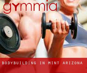 BodyBuilding in Mint (Arizona)