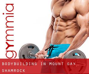 BodyBuilding in Mount Gay-Shamrock