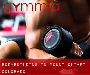 BodyBuilding in Mount Olivet (Colorado)
