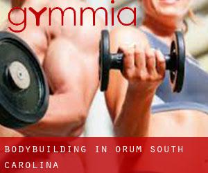 BodyBuilding in Orum (South Carolina)