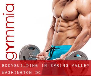 BodyBuilding in Spring Valley (Washington, D.C.)