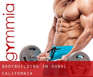 BodyBuilding in Sunol (California)