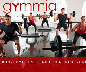BodyPump in Birch Run (New York)