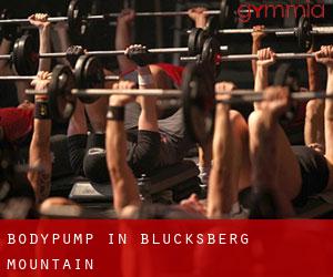 BodyPump in Blucksberg Mountain