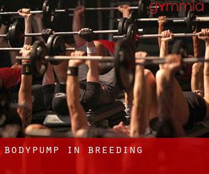 BodyPump in Breeding