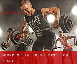 BodyPump in Brush Camp Low Place