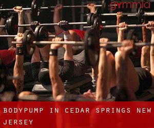 BodyPump in Cedar Springs (New Jersey)
