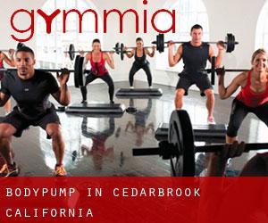 BodyPump in Cedarbrook (California)