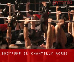 BodyPump in Chantilly Acres