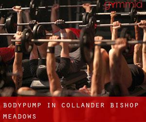 BodyPump in Collander-Bishop Meadows