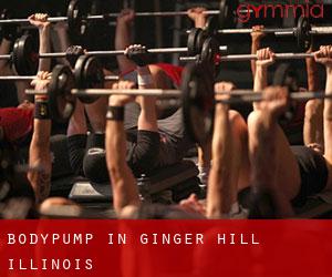 BodyPump in Ginger Hill (Illinois)