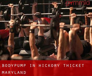 BodyPump in Hickory Thicket (Maryland)