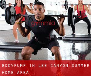 BodyPump in Lee Canyon Summer Home Area
