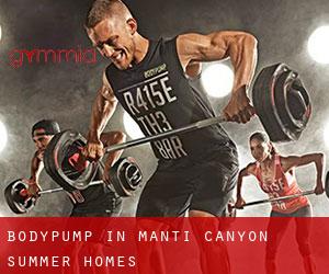 BodyPump in Manti Canyon Summer Homes