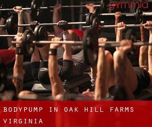BodyPump in Oak Hill Farms (Virginia)