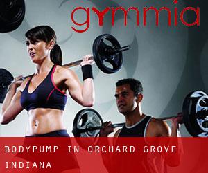 BodyPump in Orchard Grove (Indiana)