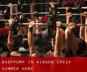 BodyPump in Winsor Creek Summer Home