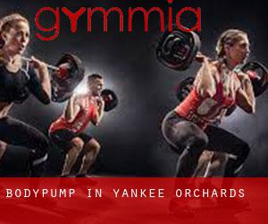 BodyPump in Yankee Orchards